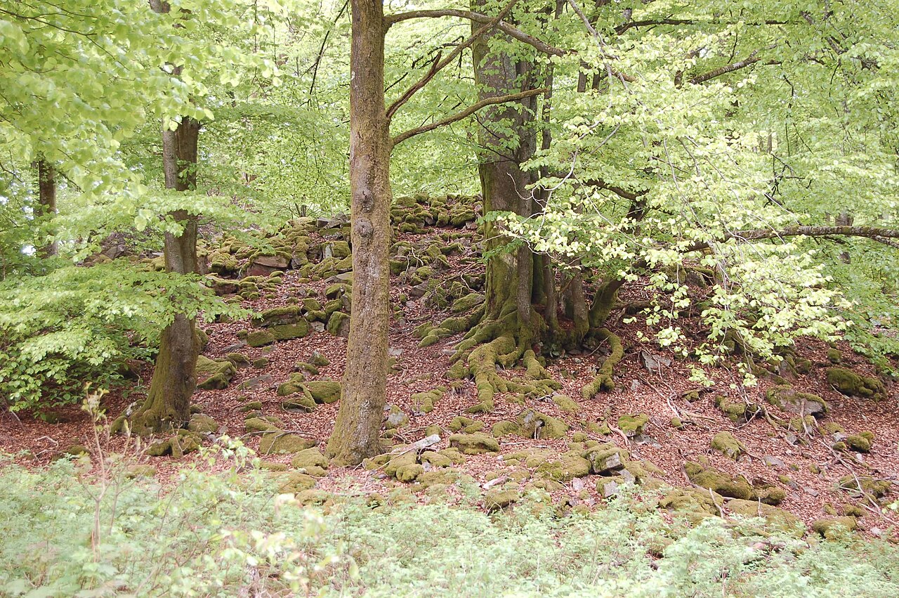 Vorkastell, Reste des nördlichen Abschnittswalles