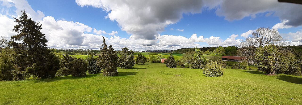 Nature Reserve Wacholderberg-Geigerswasen, Westgartshausen, Germany 2021