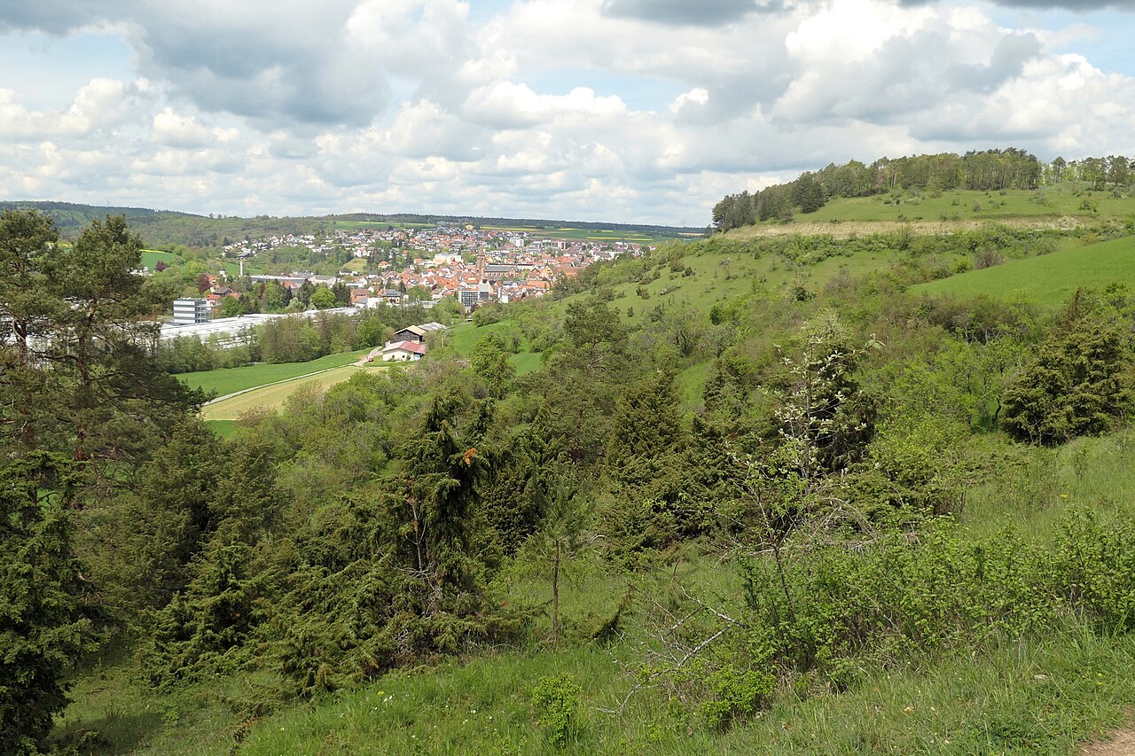 Foto von Wacholderheide Wurmberg und Brücklein