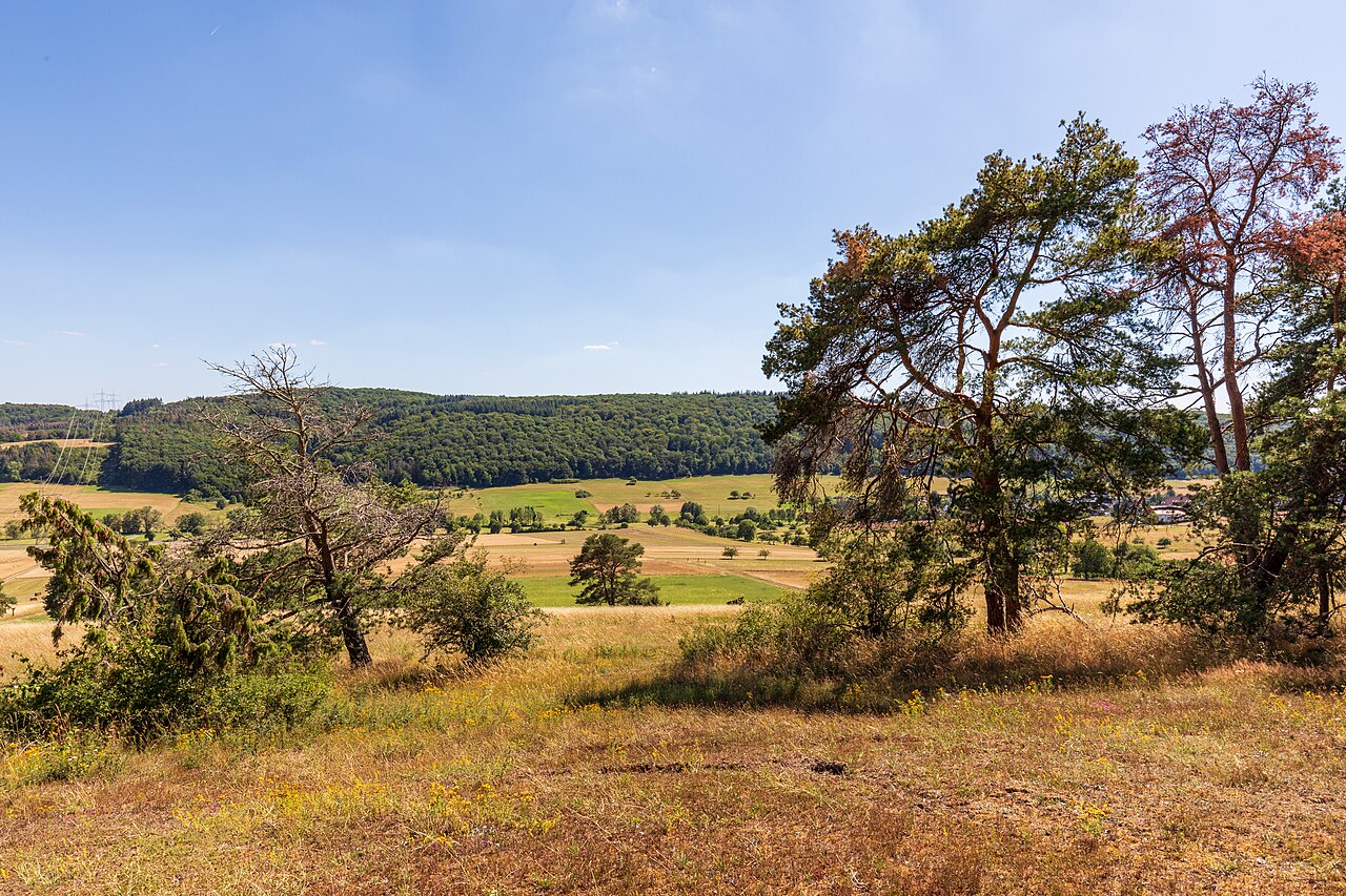 Wacholderheiden bei Niederlemp - Naturschutzgebiet im Lahn-Dill-Kreis