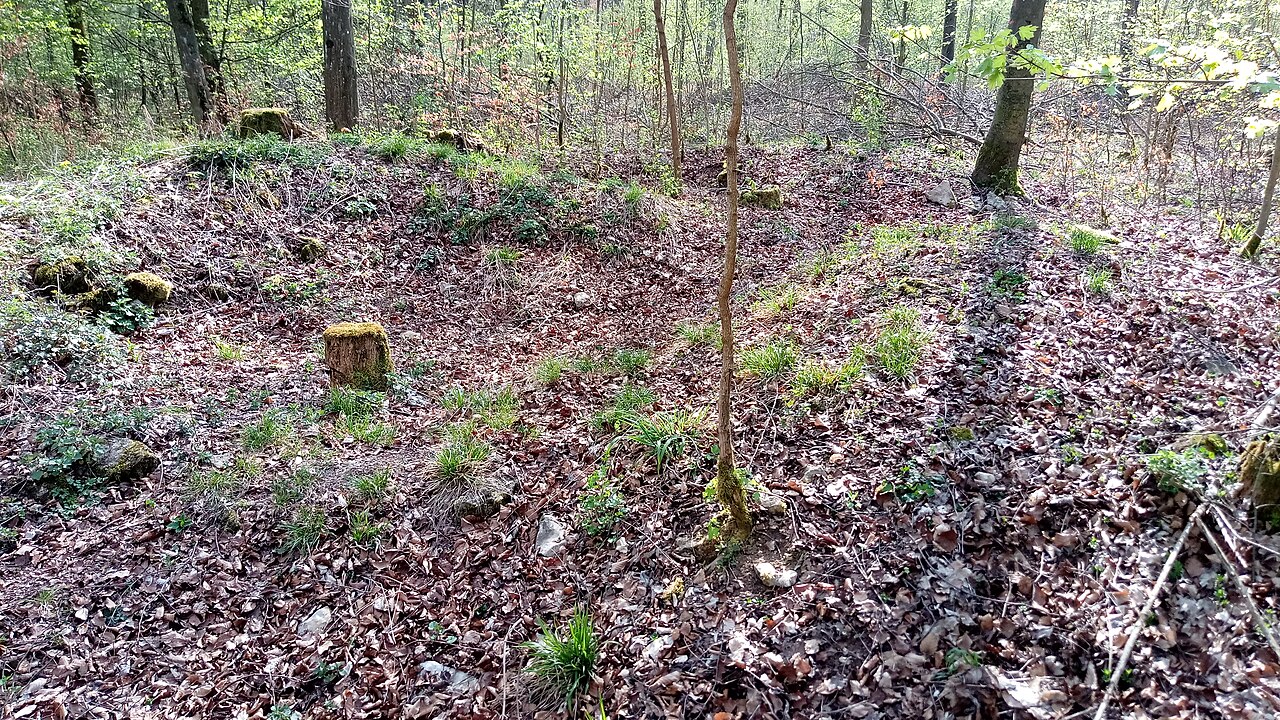 WP Welscher Berg