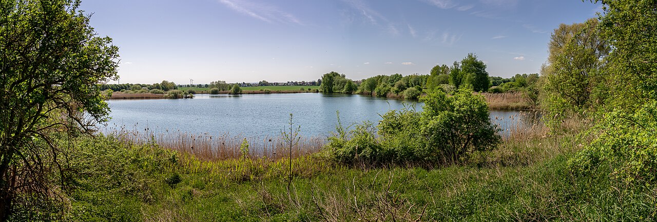 Die Wätzumer Tonkuhle, Naturschutzgebiet in der niedersächsischen Gemeinde Algermissen im Landkreis Hildesheim