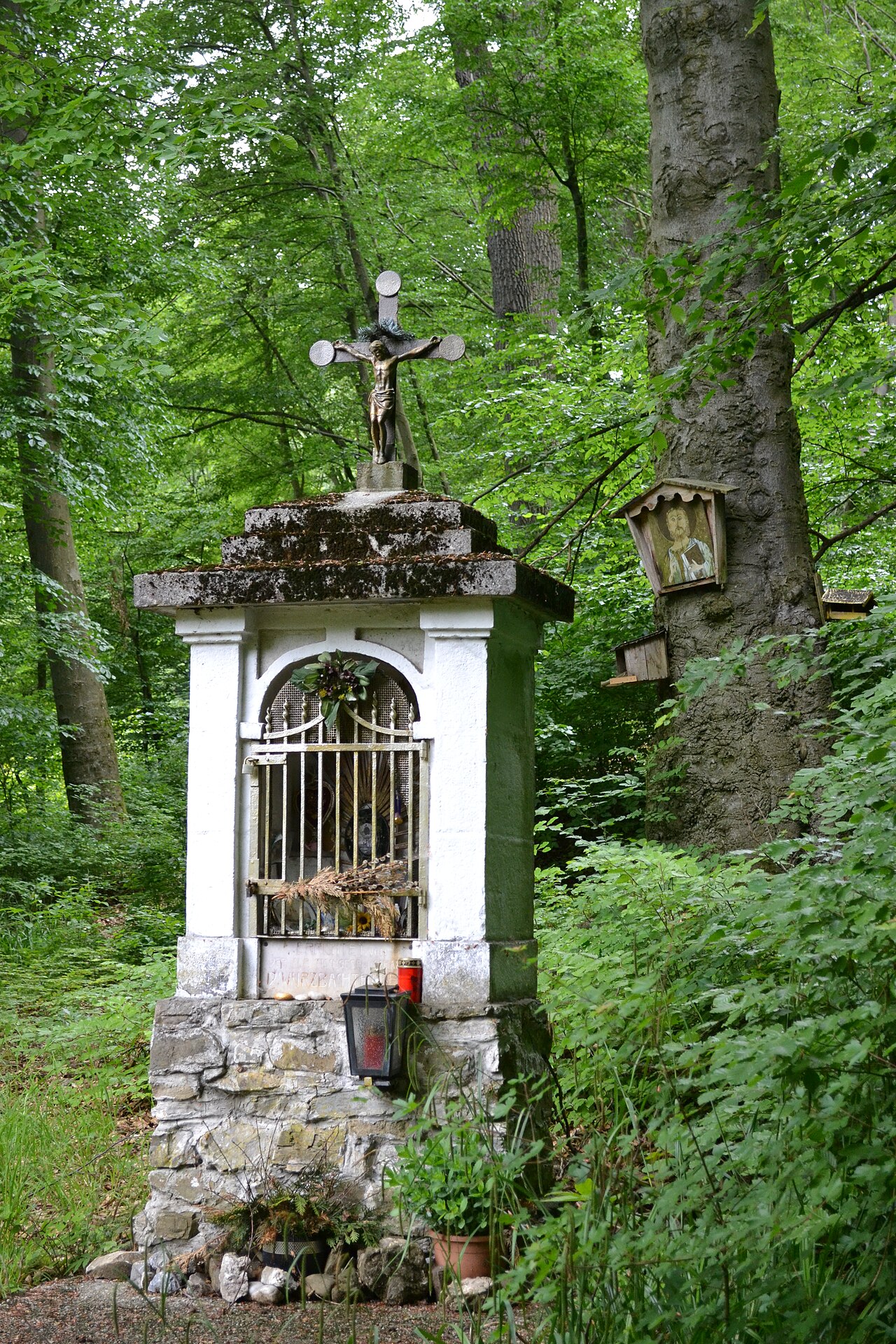 Foto von Waldandacht