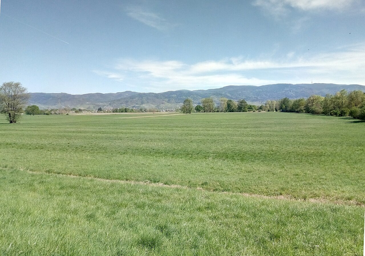 nördliches Becken (Erweiterung) des Hochwasserrückhaltebeckens Hägenich, am Horizont rechts die Hornisgrinde