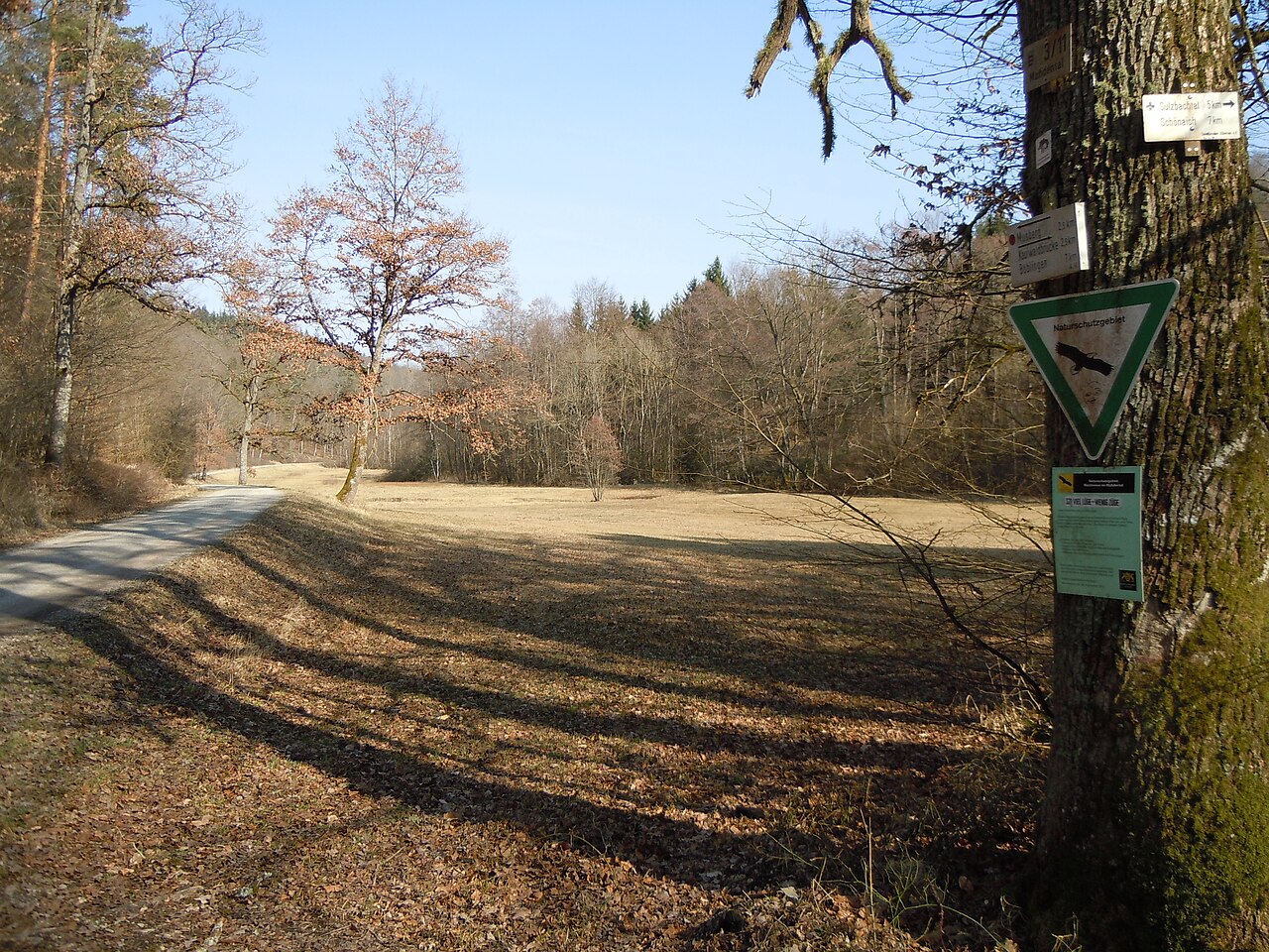 Naturschutzgebiet Waldwiese im Mahdental