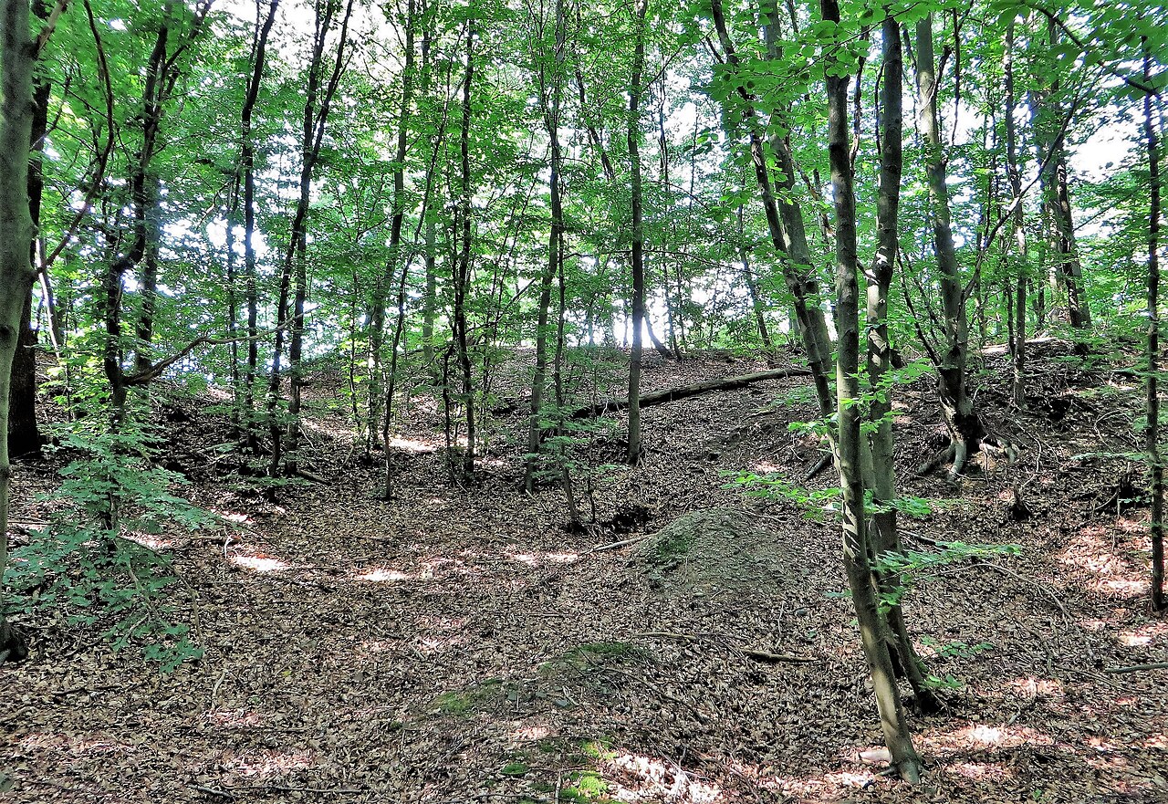 Ehemalige Wallburg „Sieben Gräben“ auf dem Schleipenberg in Hagen - Hohenlimburg