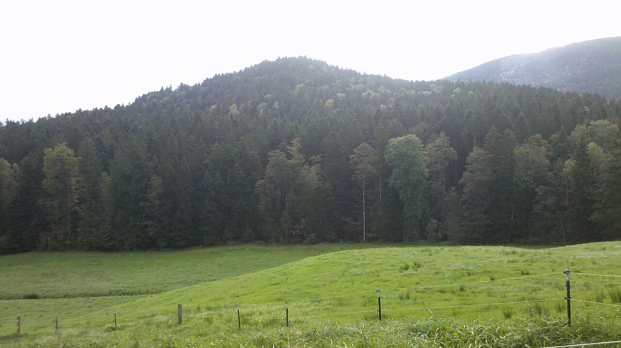 Wallenburger Kogel from Schuss