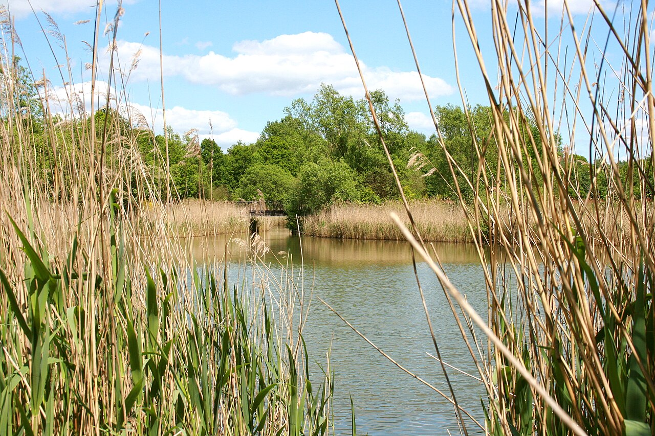 Walter-Peters-Park in Schneverdingen