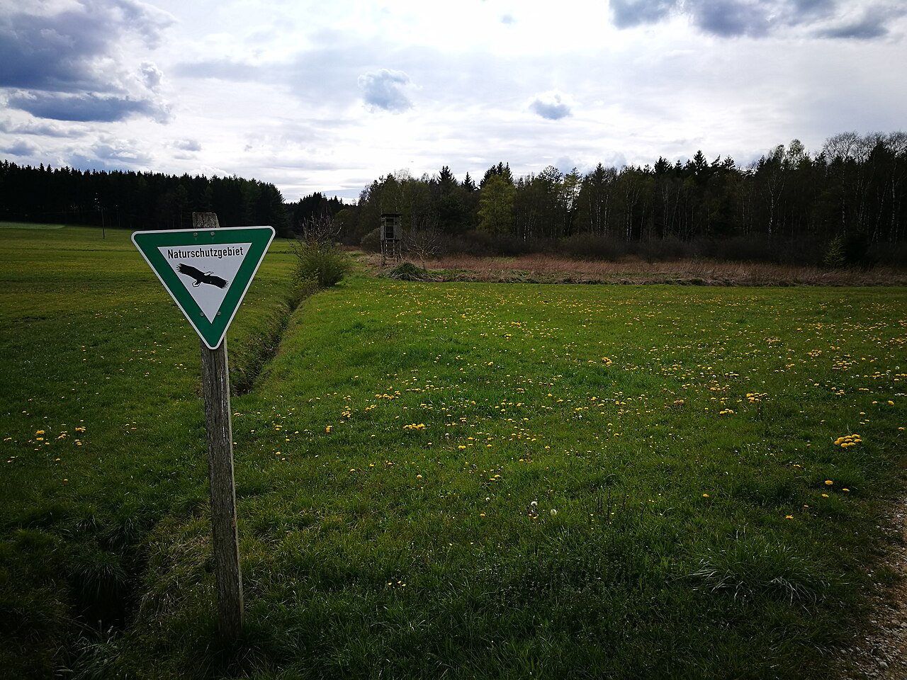 Deutschland (D) - Baden-Württemberg (BW) - Landkreis Konstanz (KN) - Hohenfels: Naturschutzgebiet "Waltere Moor"