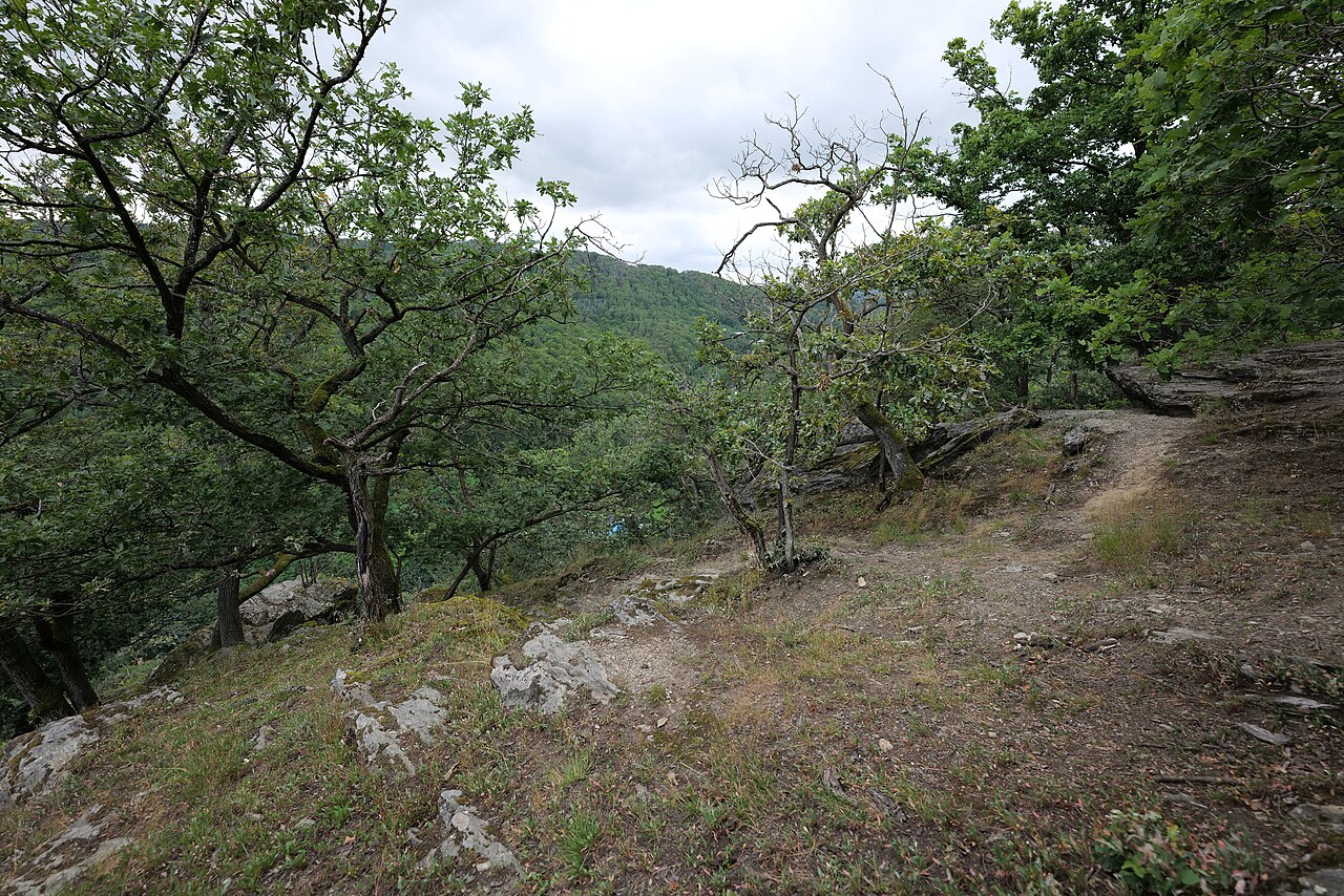 Naturschutzgebiet Walterstein bei Lorsbach