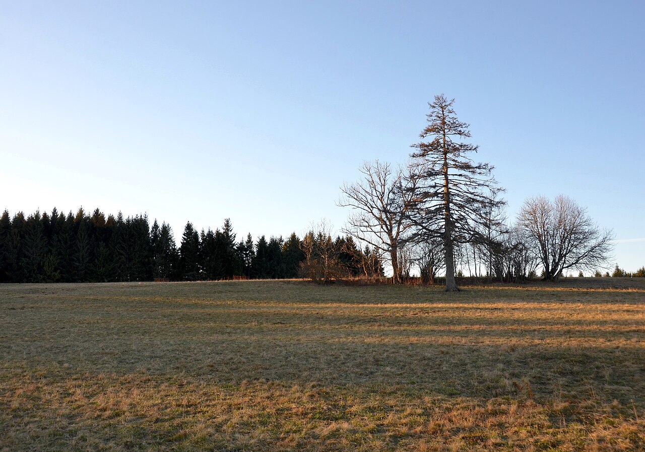 Auf dem Wandbühl , Berg der Schwäbischen Alb (Großer Heuberg)
