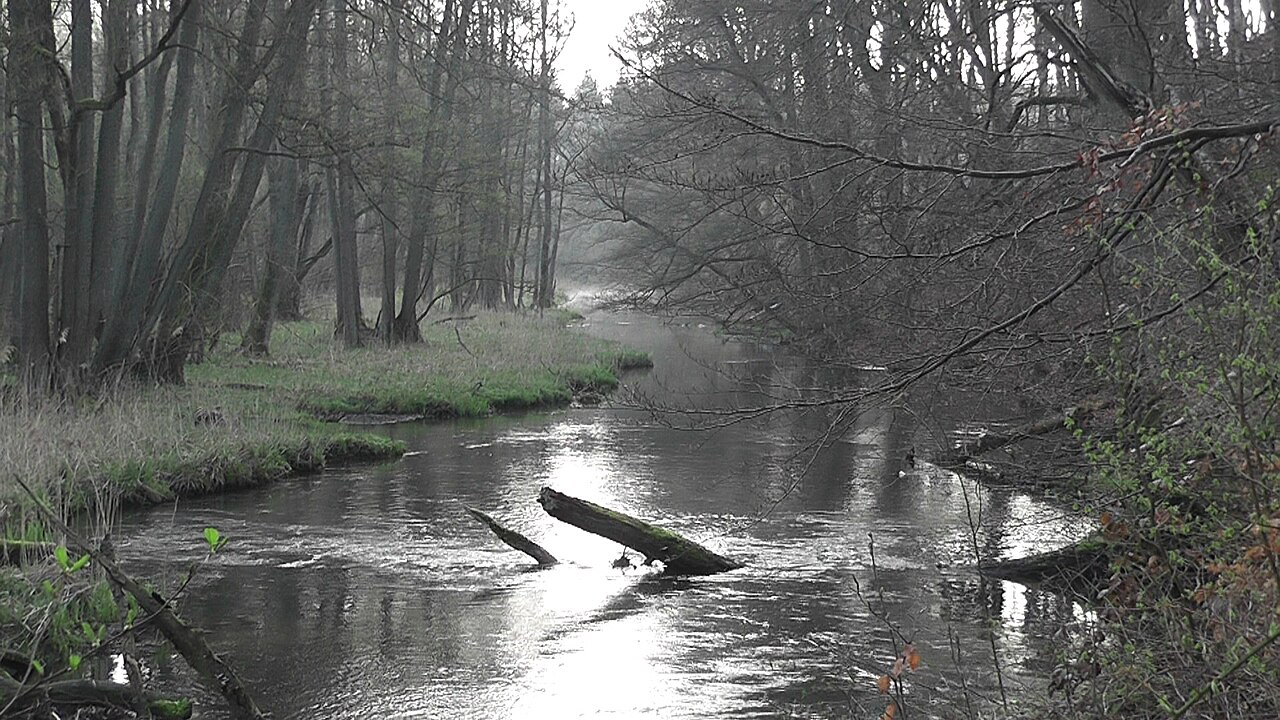Naturschutzgebiet „Warnowtal bei Karnin“ (NSG N 123)