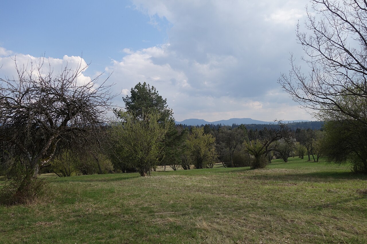 Naturschutzgebiet Warrenberg, Haigerloch-Owingen, im Hintergrund der Plettenberg