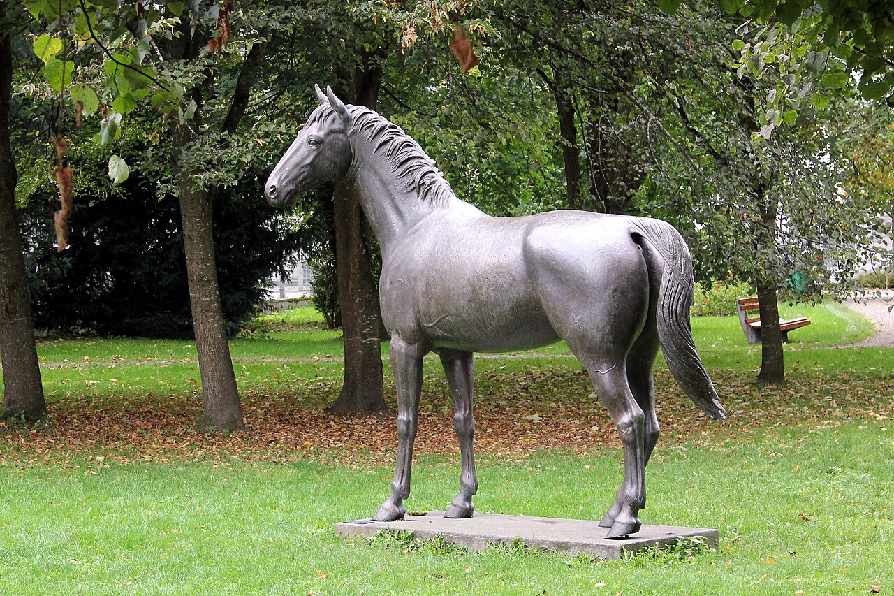 Warwick Rex, Springpferd von Alwin Schockemöhle, Olympiasieger 1976