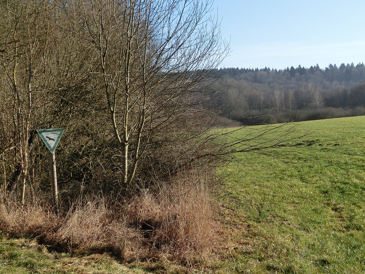 Deutschland (D) - Baden-Württemberg (BW) - Landkreis Sigmaringen (SIG): Naturschutzgebiet Wasenried