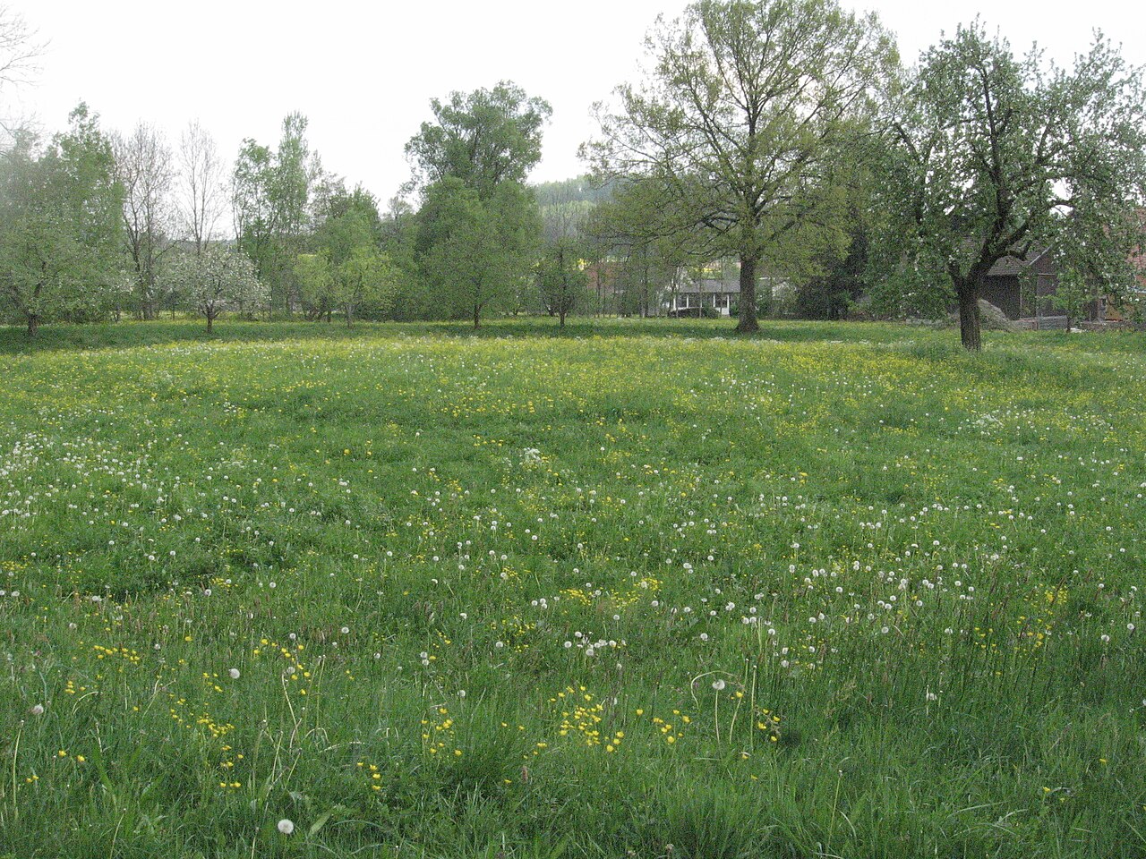 Foto von Wasserburg Kottspiel