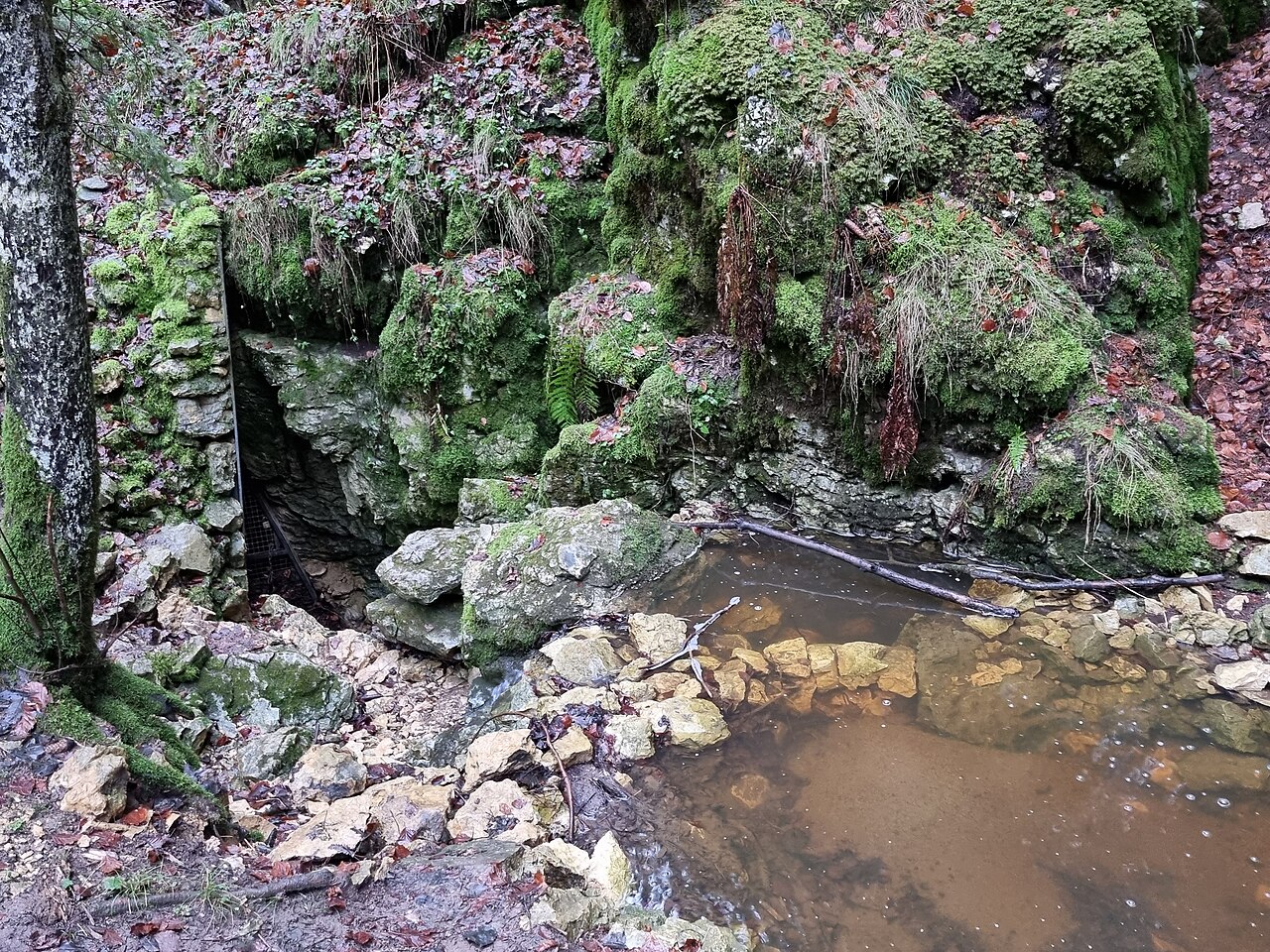 Foto von Wasserfalldoline