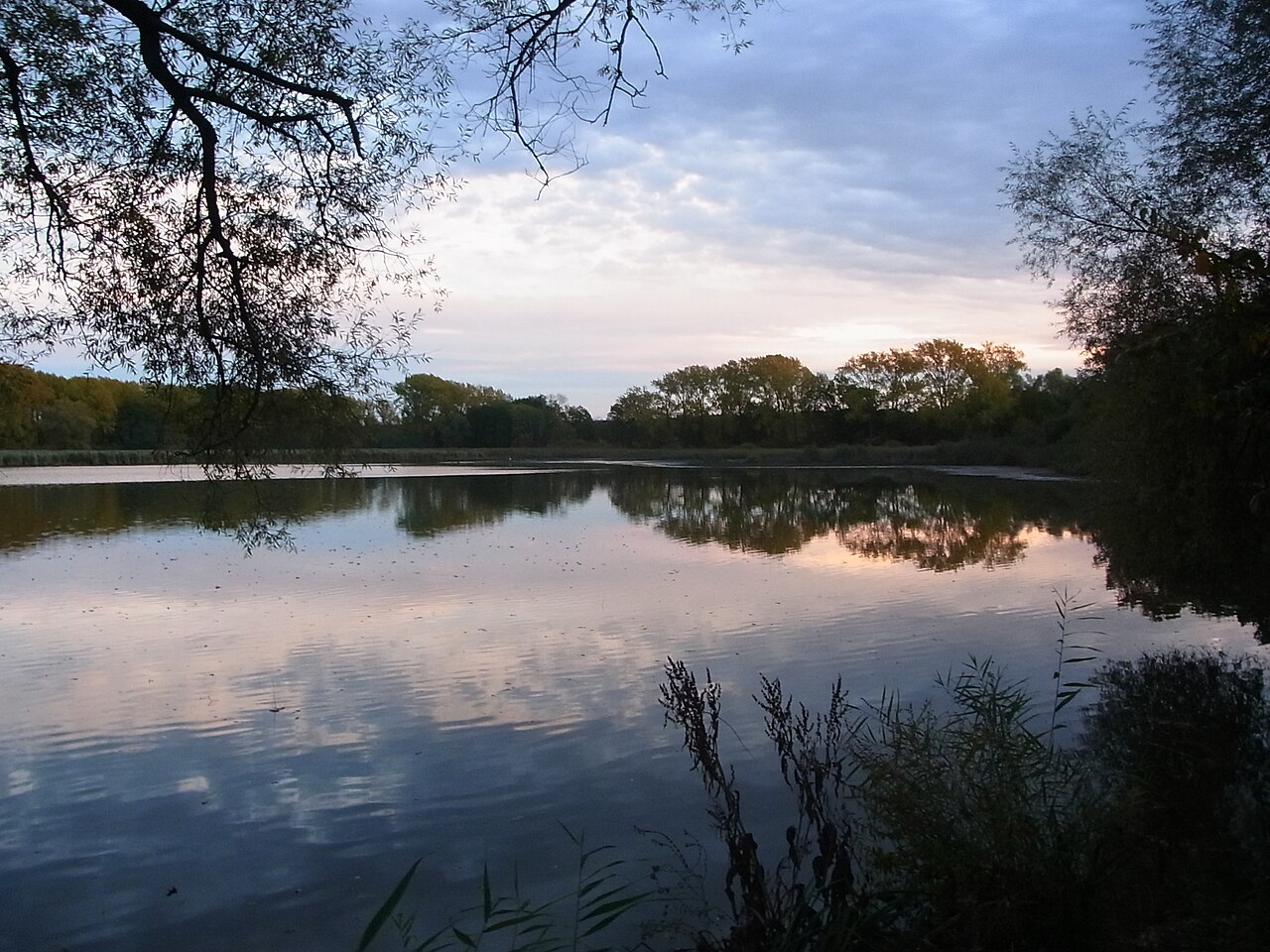 Weddeler Teich