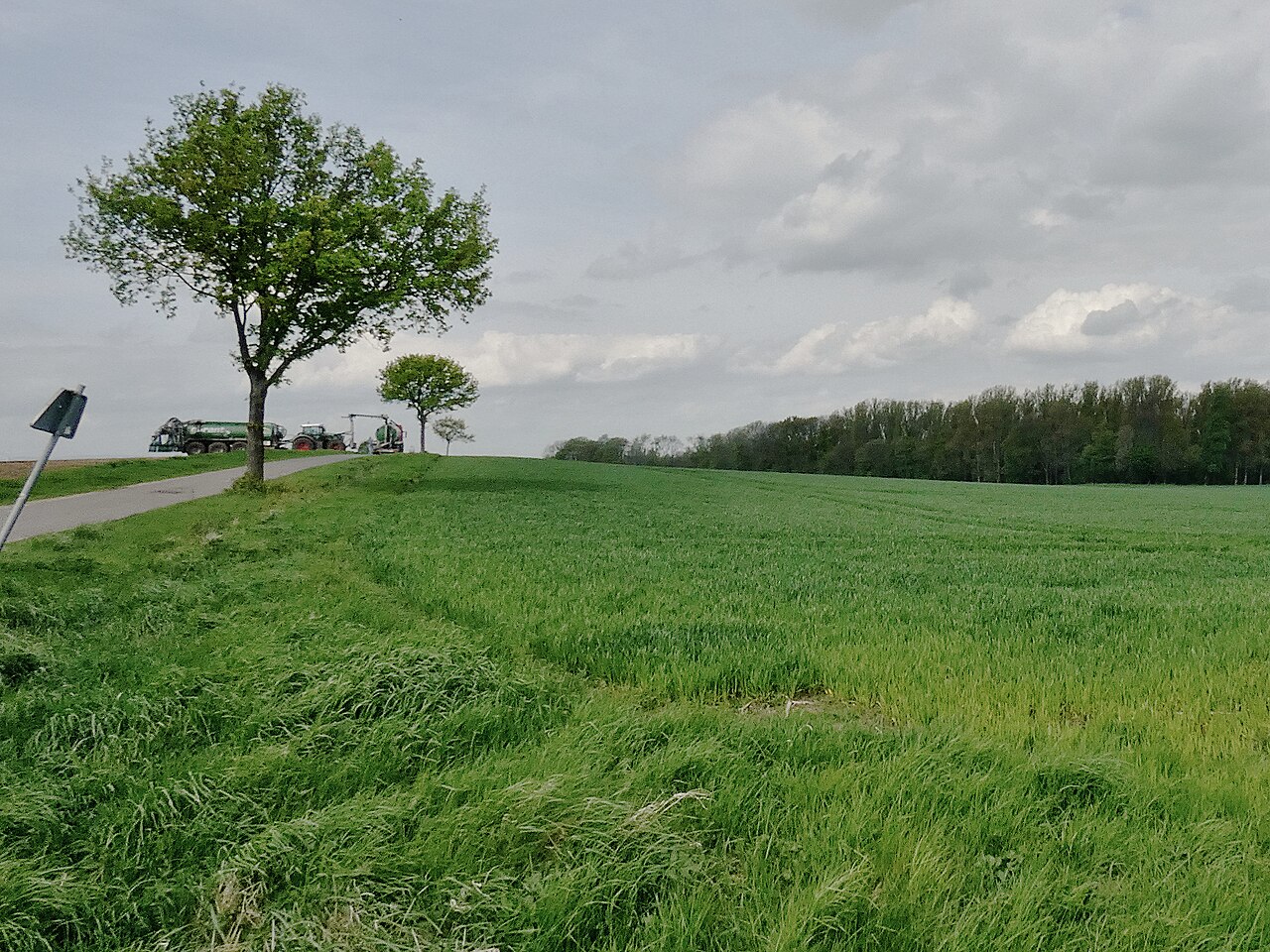 Der Wehmberg bei Sarstedt wird beackert