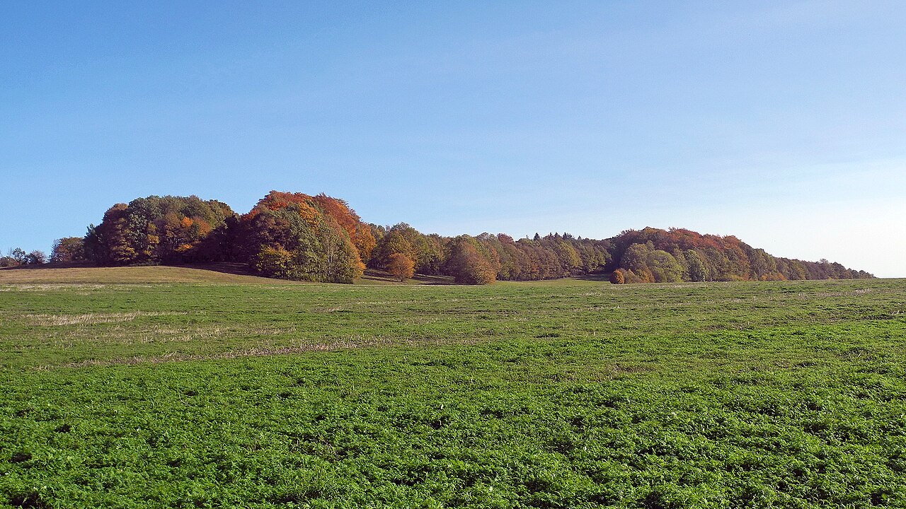 Blick zur Weifaer Höhe (504 m) oberhalb von Weifa in der Oberlausitz