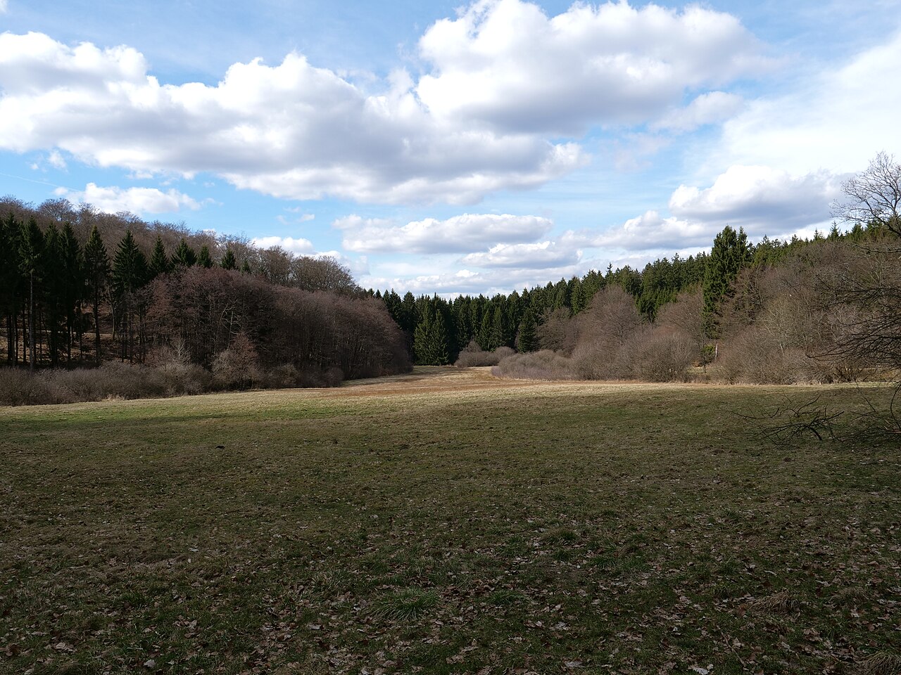 Weihergrund von Anspach vom Südrand aus