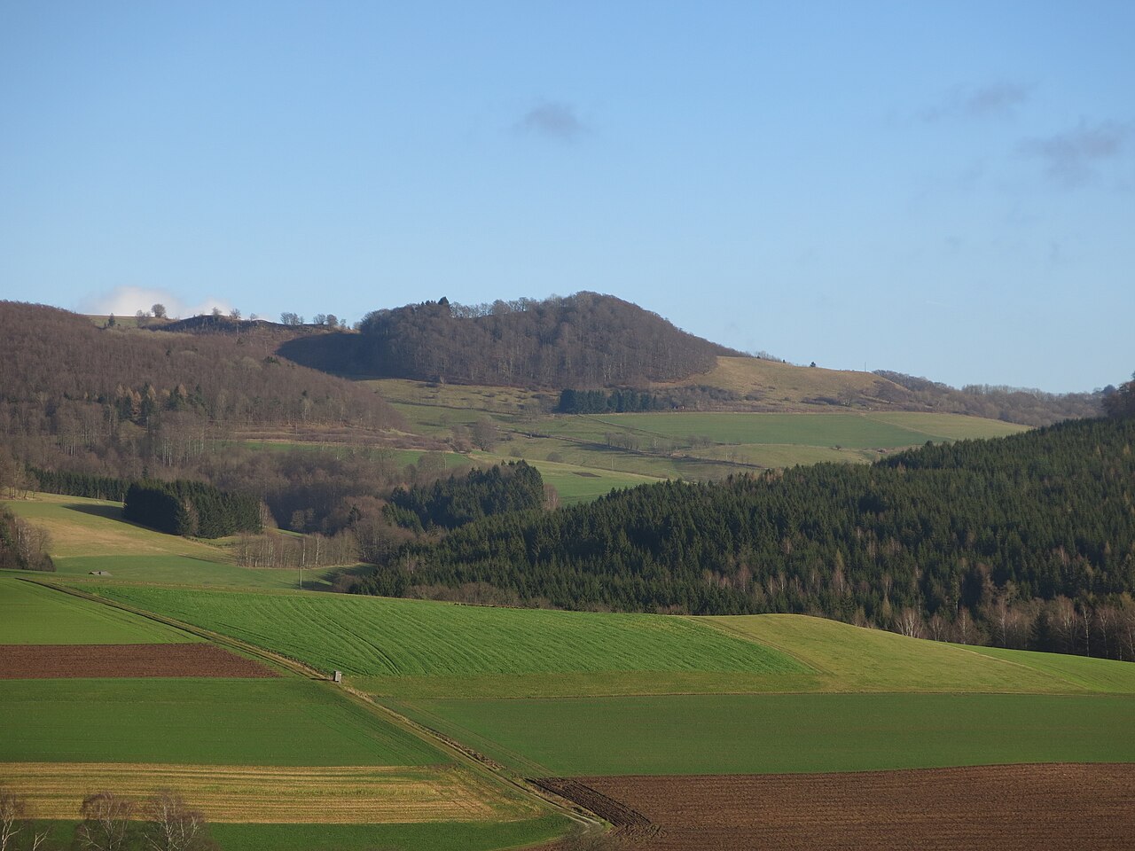 Weiherkuppe (759 m) in the Rhön Mountains , seen from west