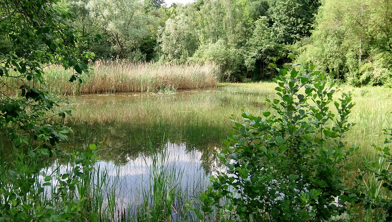 ehemalige kleine Kiesgrube