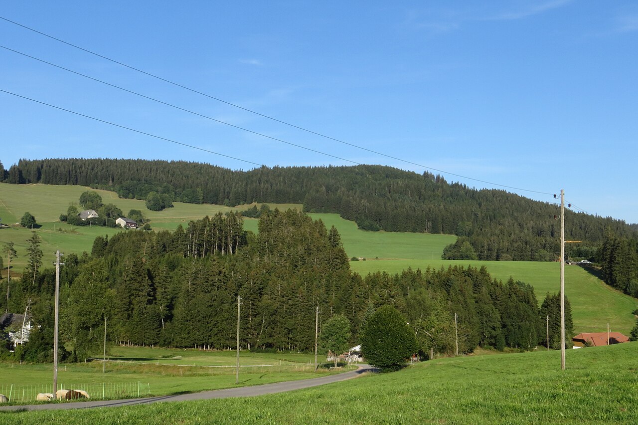The Weißtannenhöhe seen from Tiefen, Black Forest, Baden-Wuerttemberg, Germany