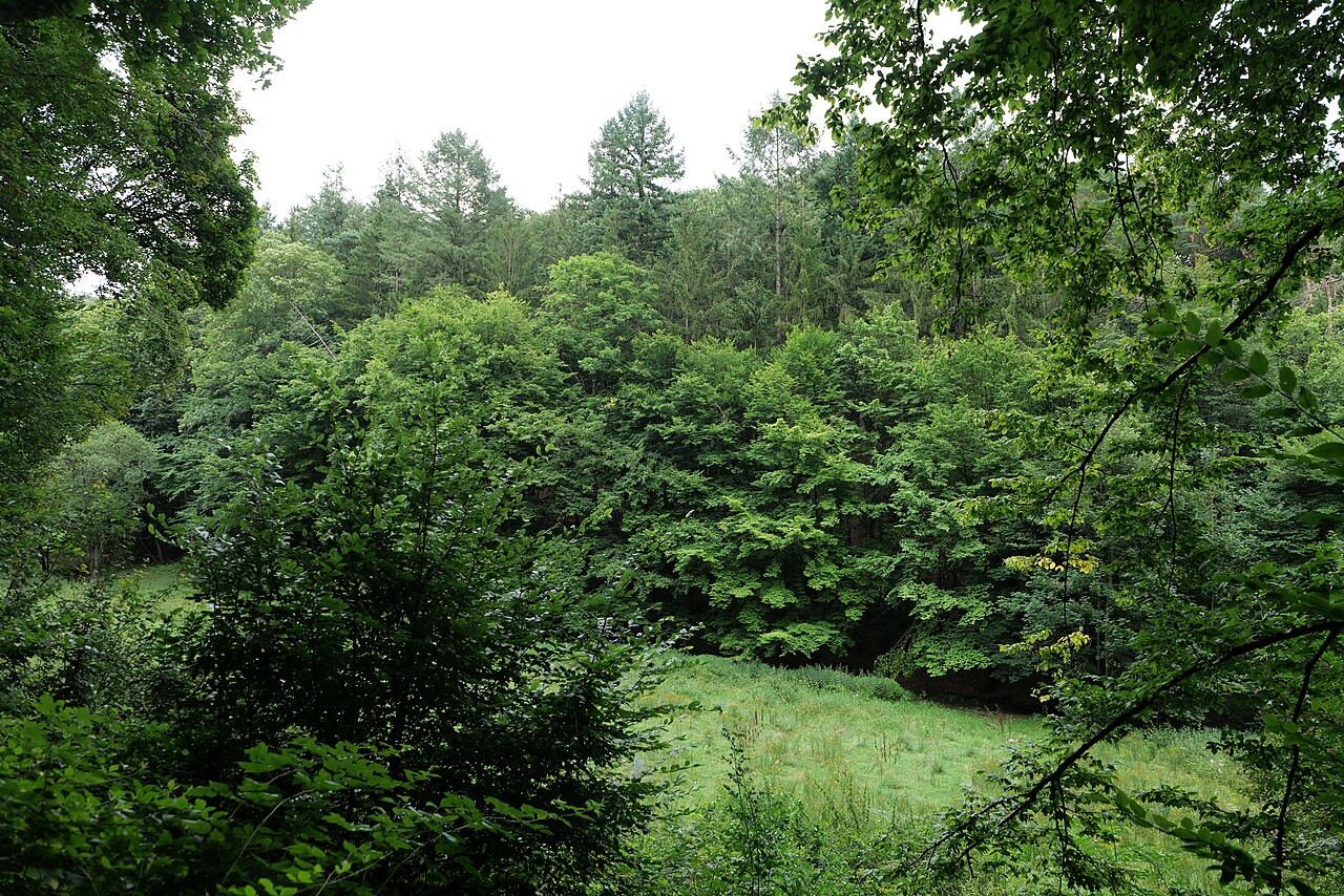 Naturschutzgebiet Wellbachtal bei Eppstein