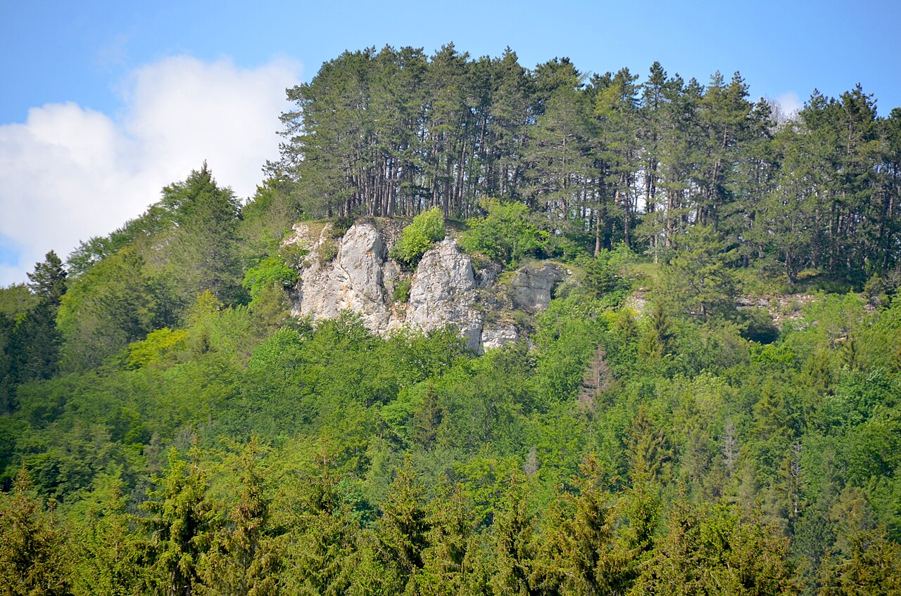 Biotop NSG "Schafberg-Lochenstein"-Wenzelstein bei Hausen am Tann, Naturschutzgebiet Schafberg - Lochenstein