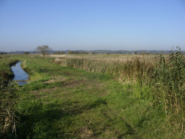 Naturschutzgebiet „Werderland“, Bremen Grünland