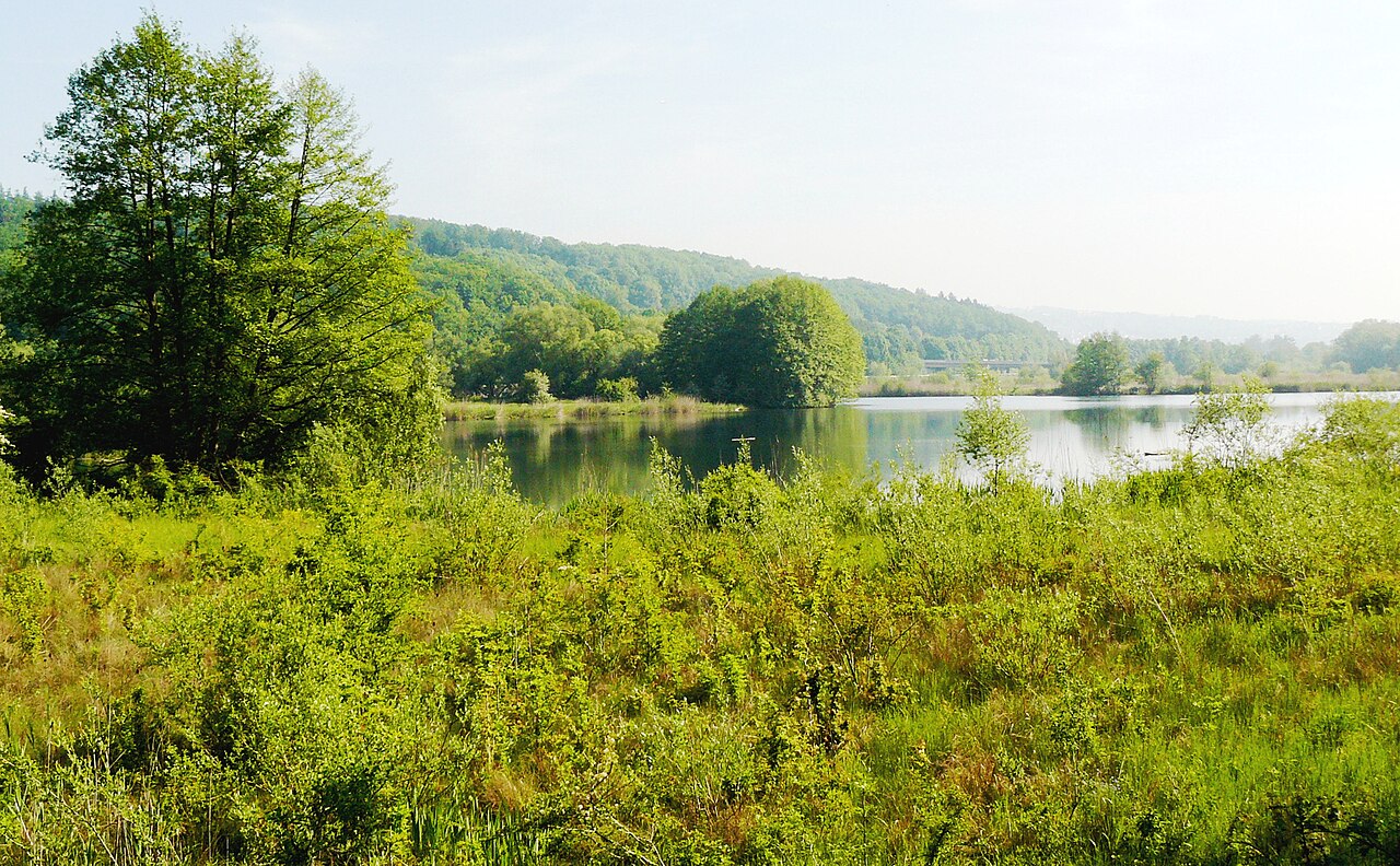 Wernauer Baggerseen - Naturschutzgebiet in Baden Württemberg