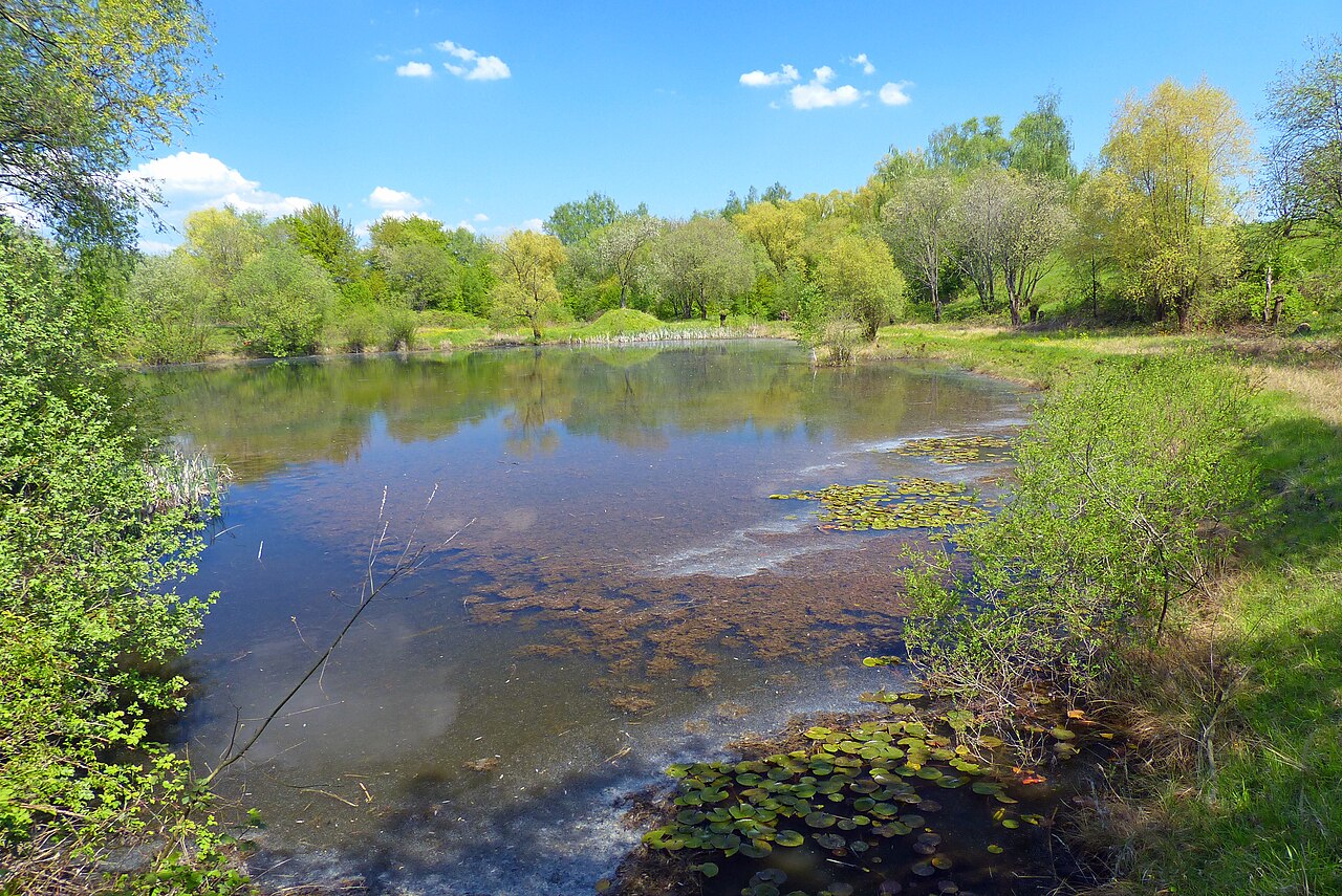 Sekundärbiotop mit Trocken- sowie Naßflächen, Steilhängen und Wasserflächen in Wernau