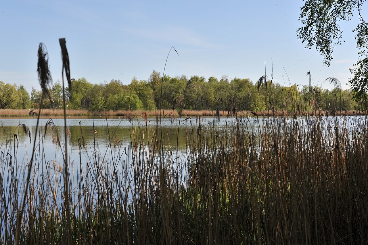 Weserportsee , Naturschutzgebiet in Bremerhaven, Deutschland