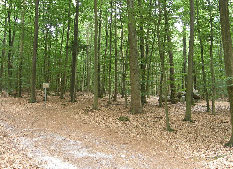 Bilder aus Lamstedt