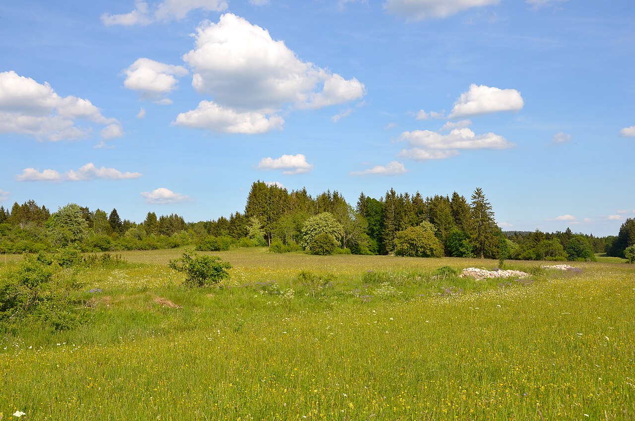 Foto von Westerberg