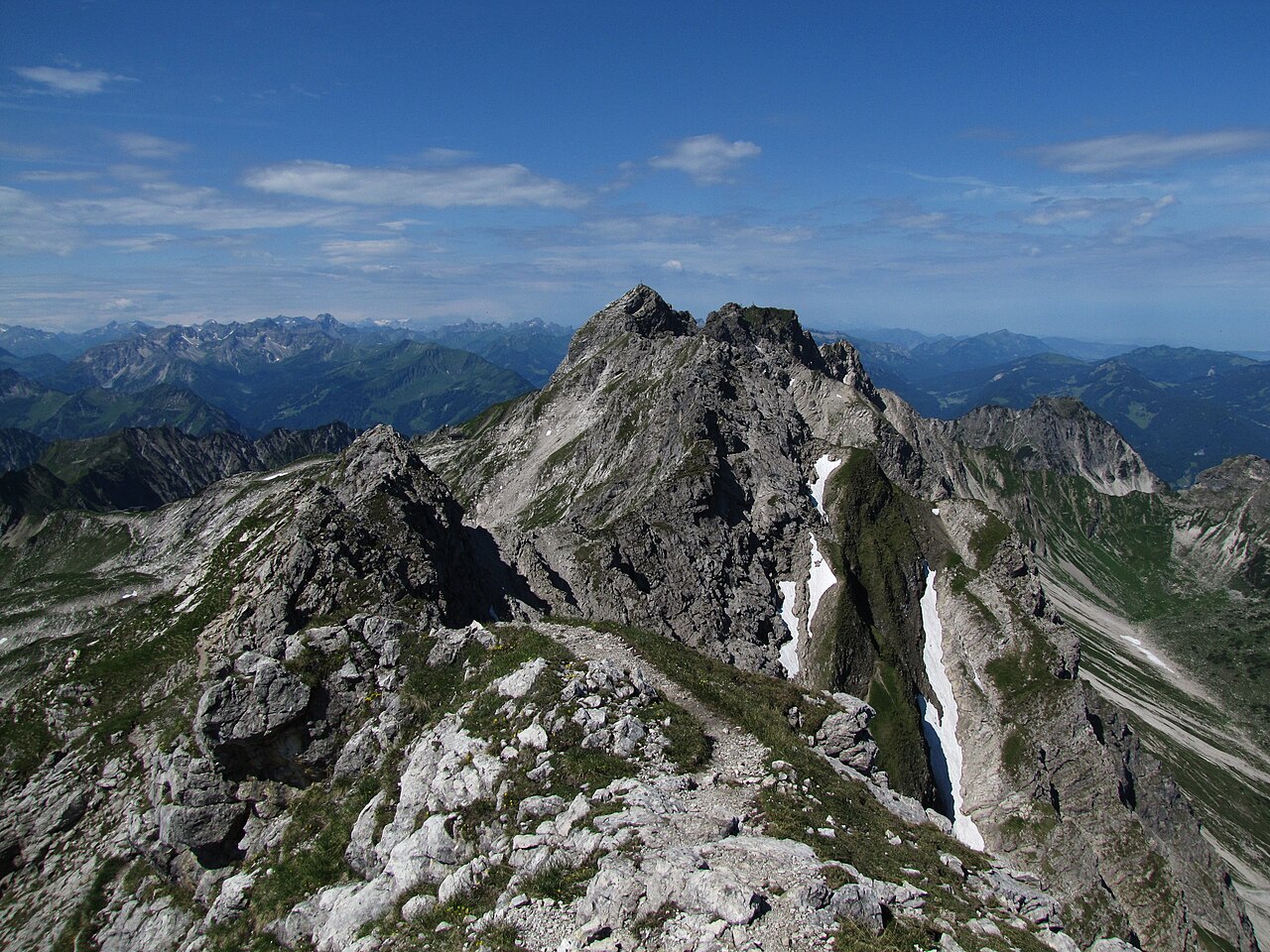 Foto von Westlicher Wengenkopf