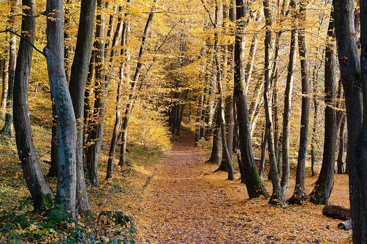 Radwanderweg Naurod-Igstadt im Wickerbachtal bei Auringen, Landschaftsschutzgebiet Stadt Wiesbaden