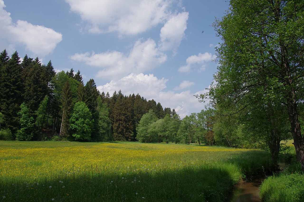 NSG Wiesentäler bei der Menzlesmühle, rechts die Schwarze Rot