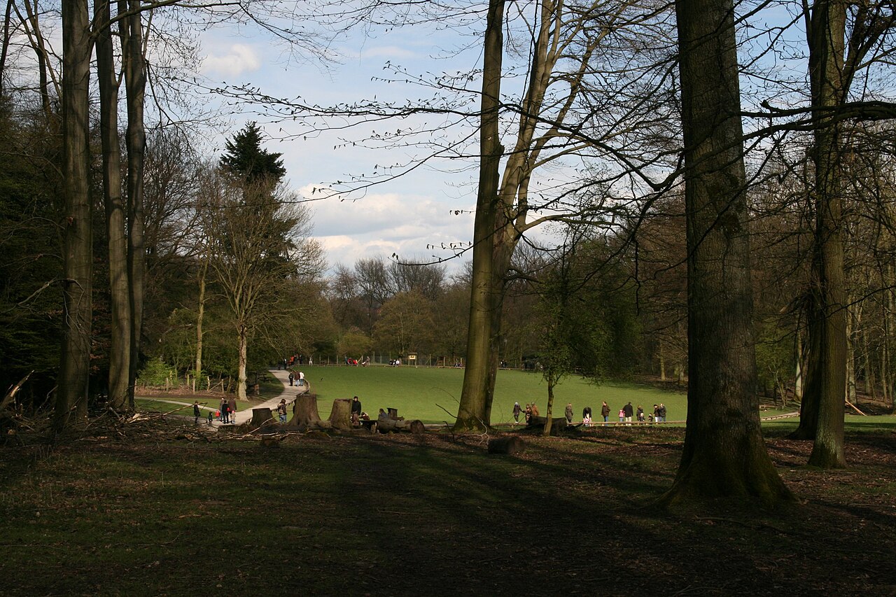 Wildpark im Grafenberger Wald in Düsseldorf