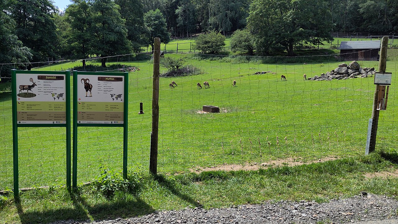 Wildpark Geising