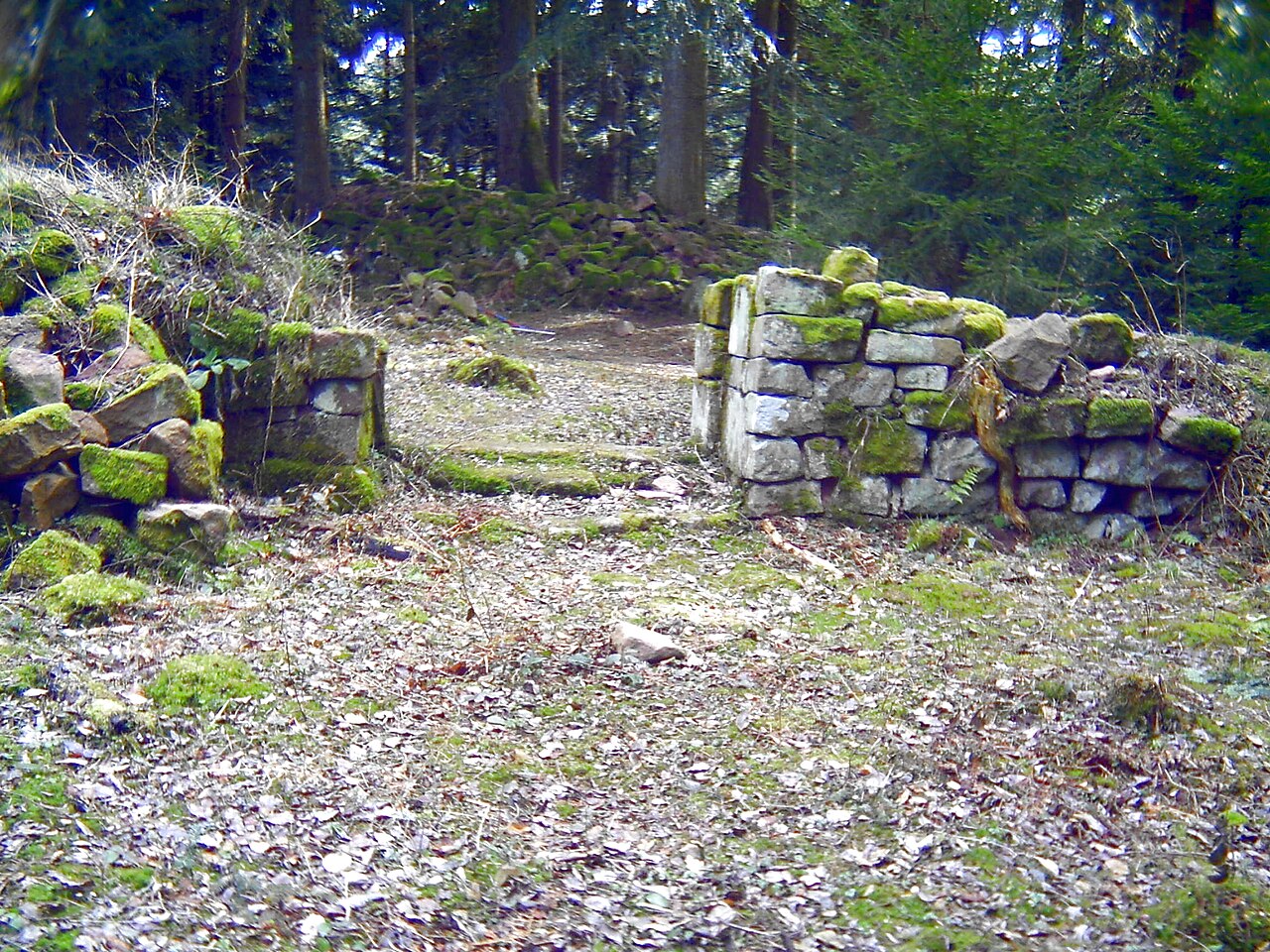 gemauerte Türöffnung innerhalb der Willenburg, Schiltach