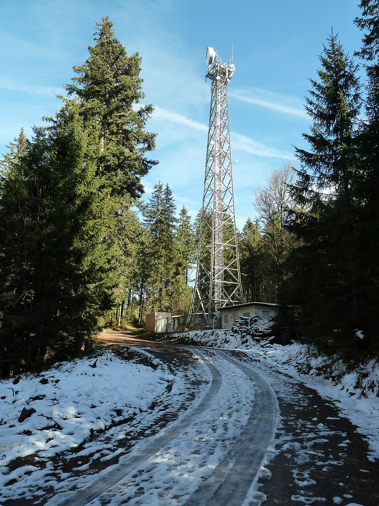 Antenna mast near Windeckkopf, Hinterzarten