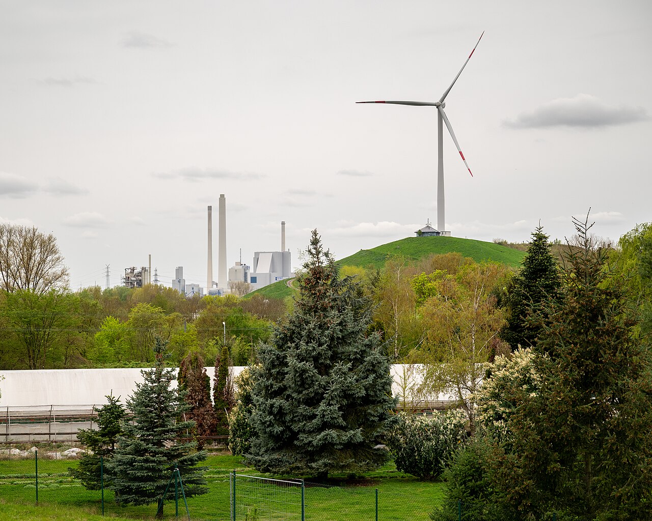 Foto von Windmühlenberg