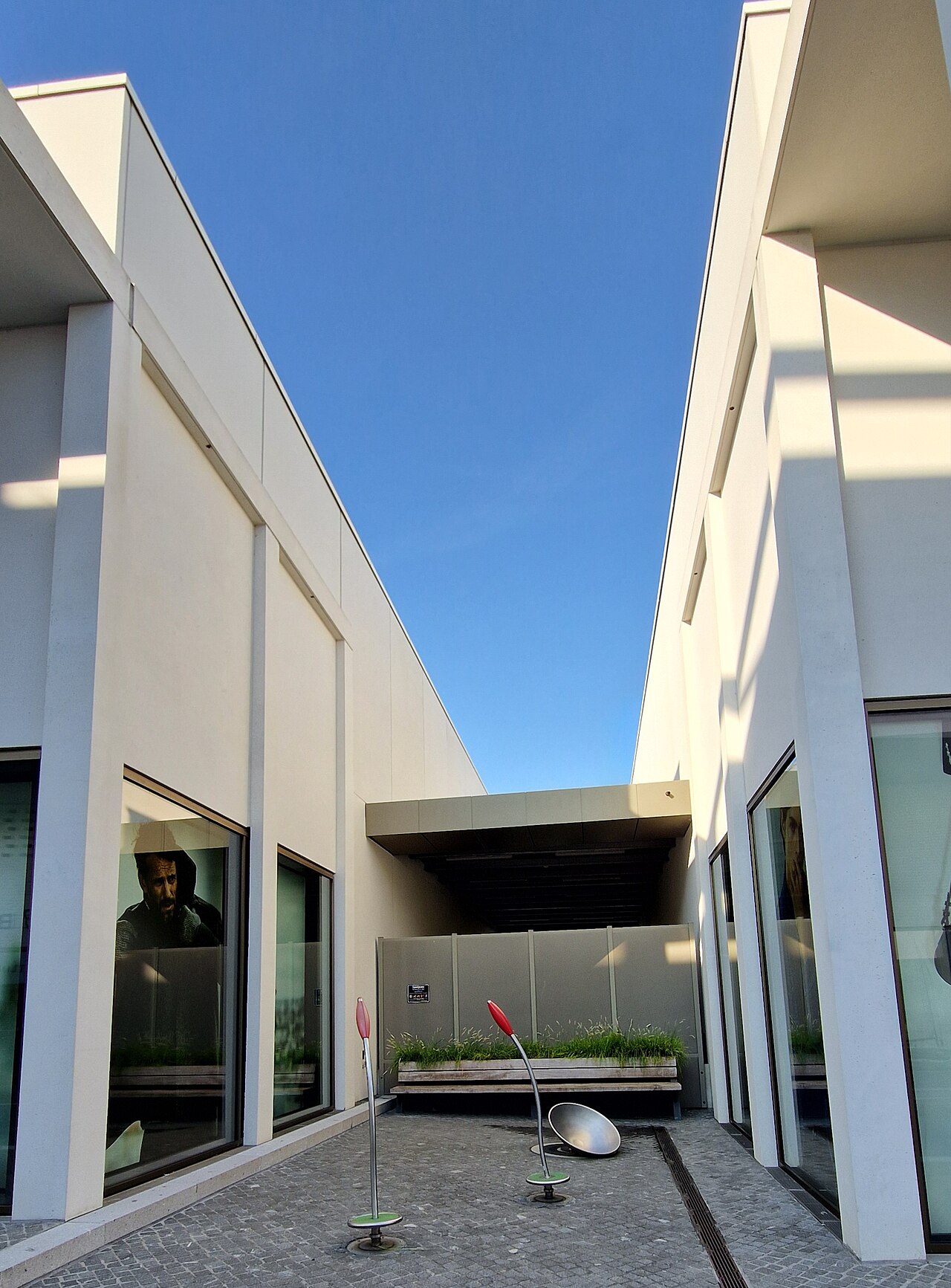 Foto von Wirbel