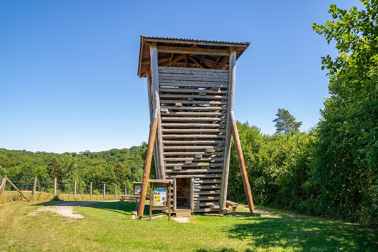 Aussichtsturm Wisent-Turm im Wisentgehege Hardehausen bei Warburg