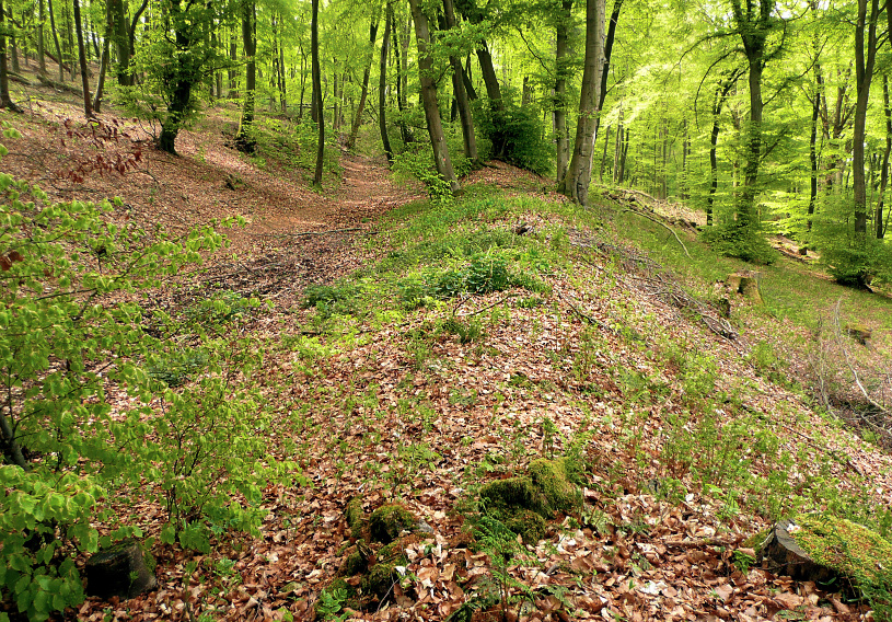 Wallrest der Wittekindsburg
