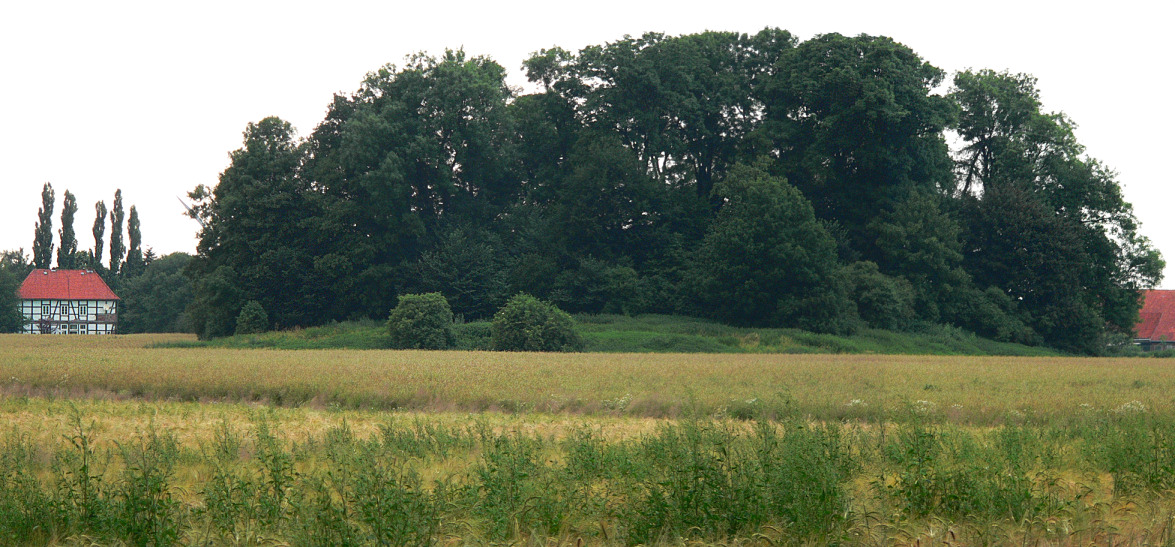 Burhügel von Burg und späterem Schloss Wölpe in Erichshagen