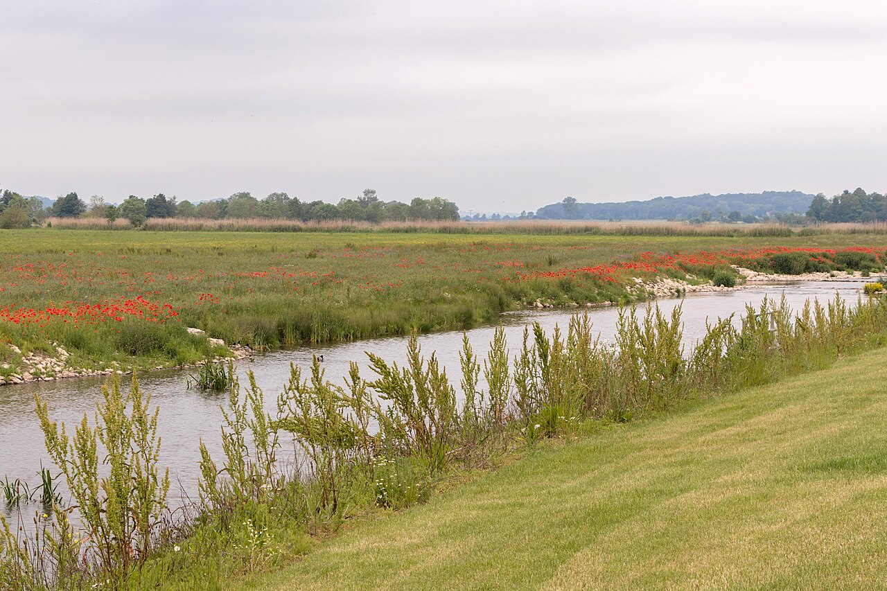 Kleine Landesgartenschau, 2019, Wassertrüdingen, Wörnitz