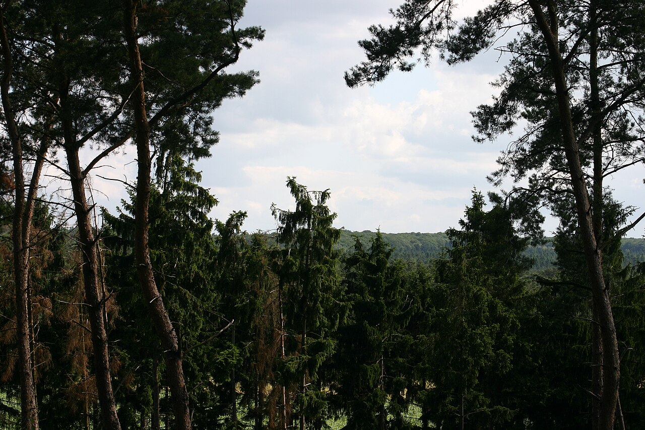 Aussicht vom Wolfsberg (Vordergrund), Naturschutzgebiet „Wolfsberg“ (NSG KLE-44) in Kranenburg, Kreis Kleve
